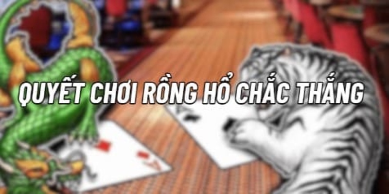 Các lưu ý khi chơi rồng hổ tại KUWIN