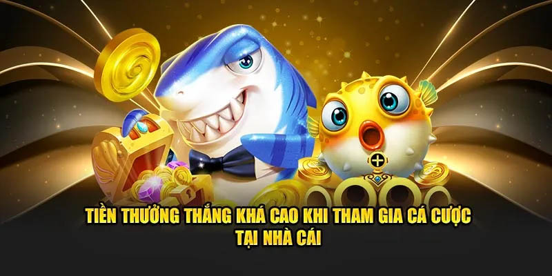 Tiền thưởng thắng khá cao khi tham gia cá cược tại nhà cái